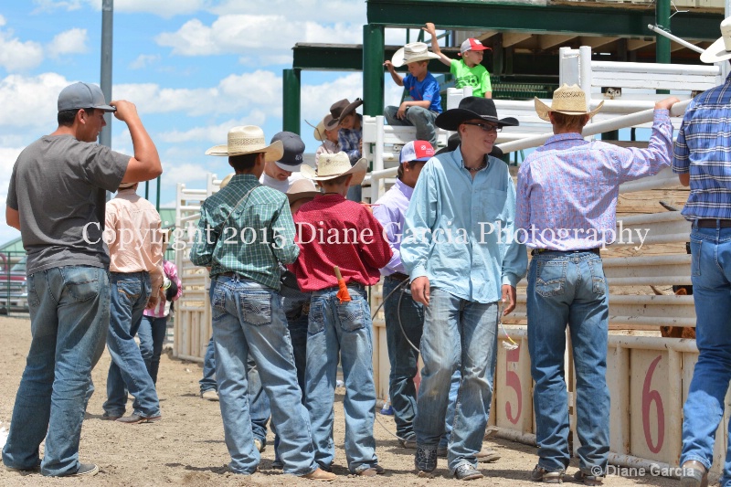 ujra parent rodeo 2015  1 