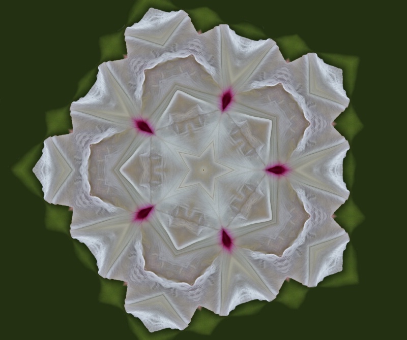 67