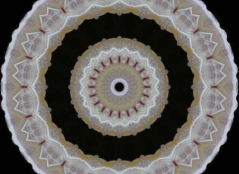 66