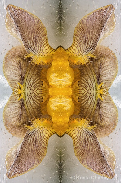Iris in ice III—kaleidoscopic