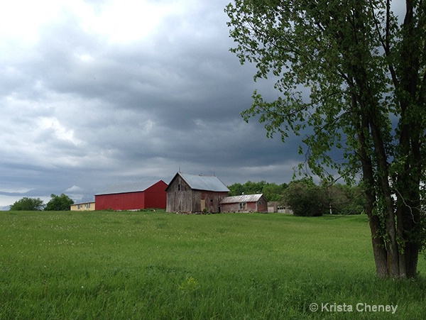 Shelburne barn