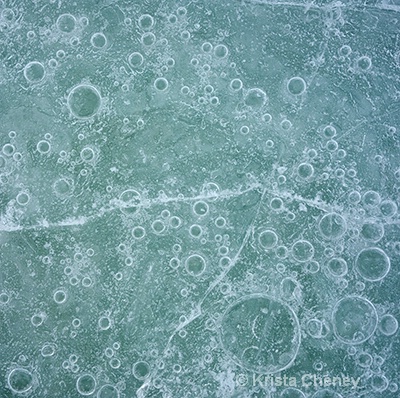 Pond ice