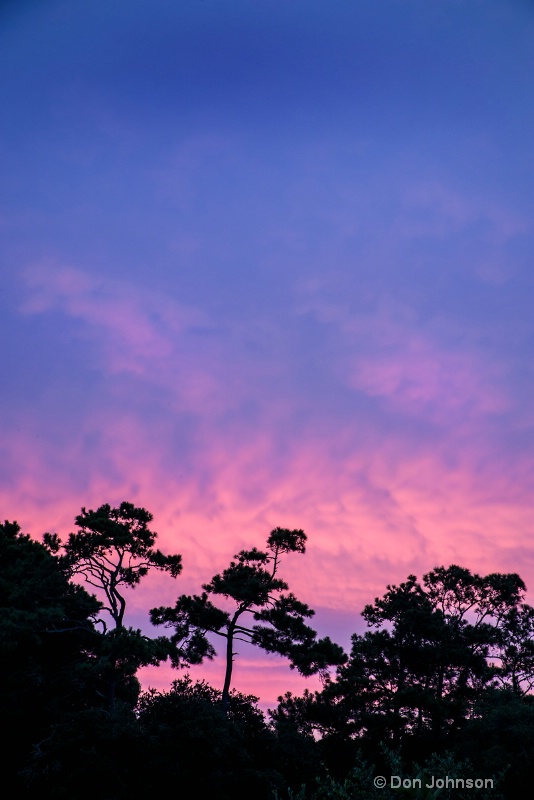 Sunrise at Currituck NC 3-0 f lr 8-8-15 j406
