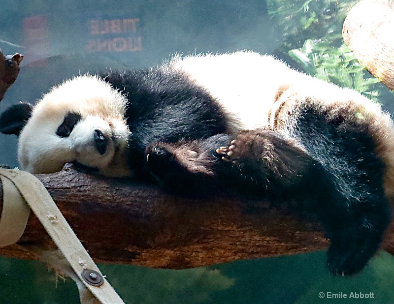 Mei Huan