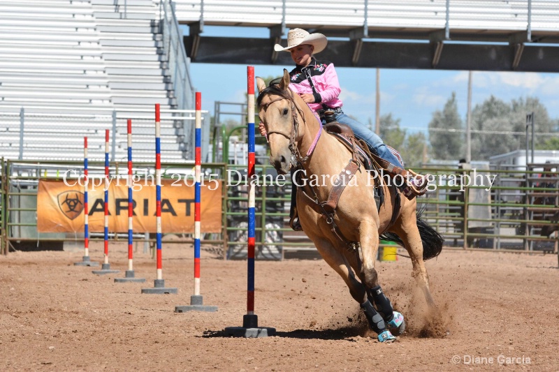cheznie roundy 5th and under nephi 2015 5