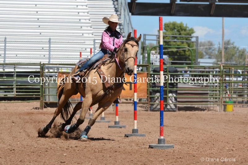 cheznie roundy 5th and under nephi 2015 3