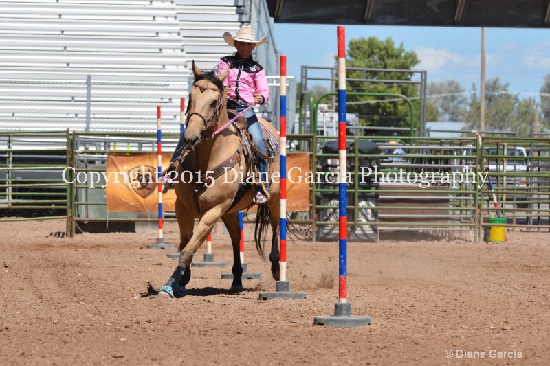 cheznie roundy 5th and under nephi 2015 2