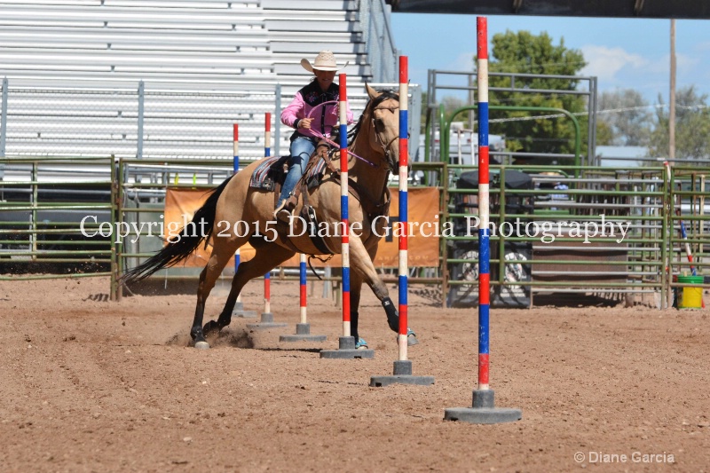 cheznie roundy 5th and under nephi 2015 1