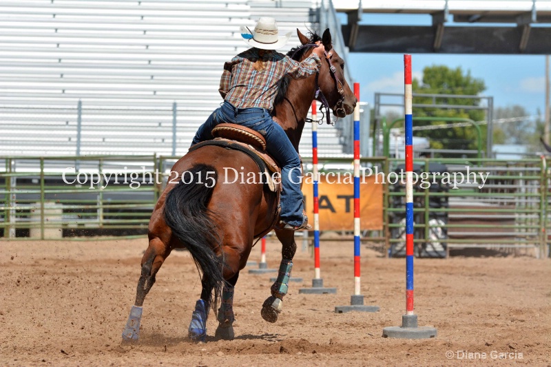 charli sanderson 5th and under nephi 2015 9