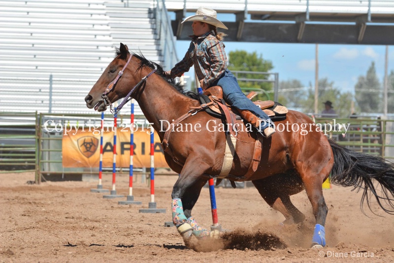 charli sanderson 5th and under nephi 2015 7