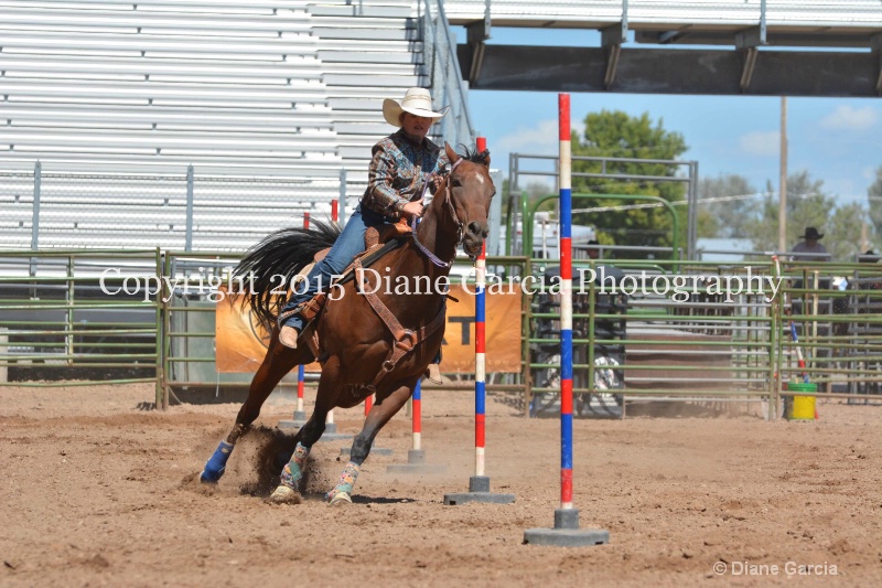 charli sanderson 5th and under nephi 2015 3
