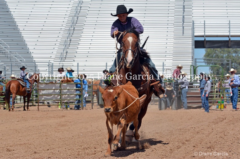 payden taylor 5th and under nephi 2015 3
