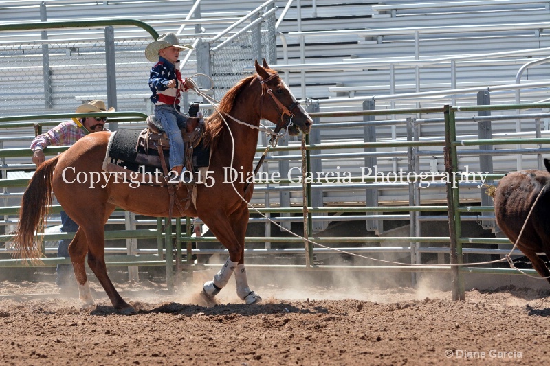 koda peterson 5th and under nephi 2015 3