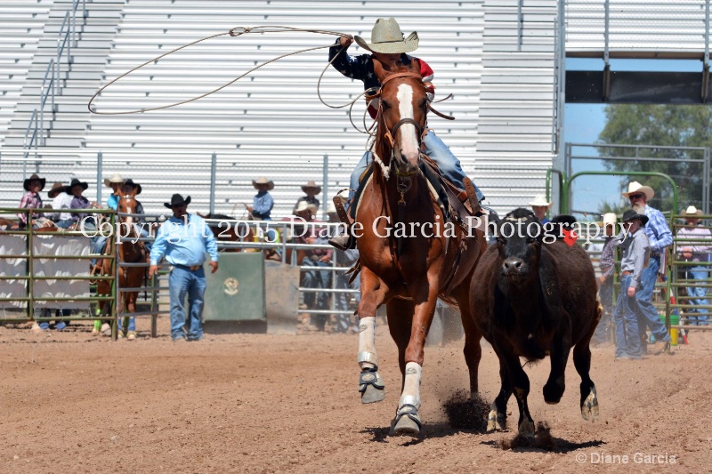 koda peterson 5th and under nephi 2015 2