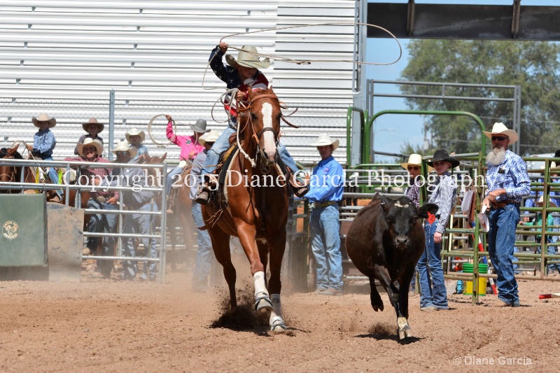 koda peterson 5th and under nephi 2015 1