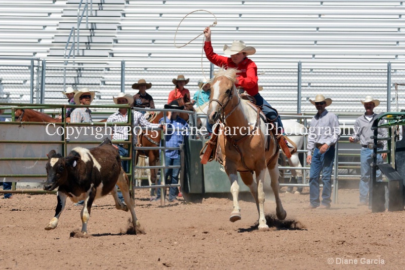 jaycee fowkes 5th and under nephi 2015 11