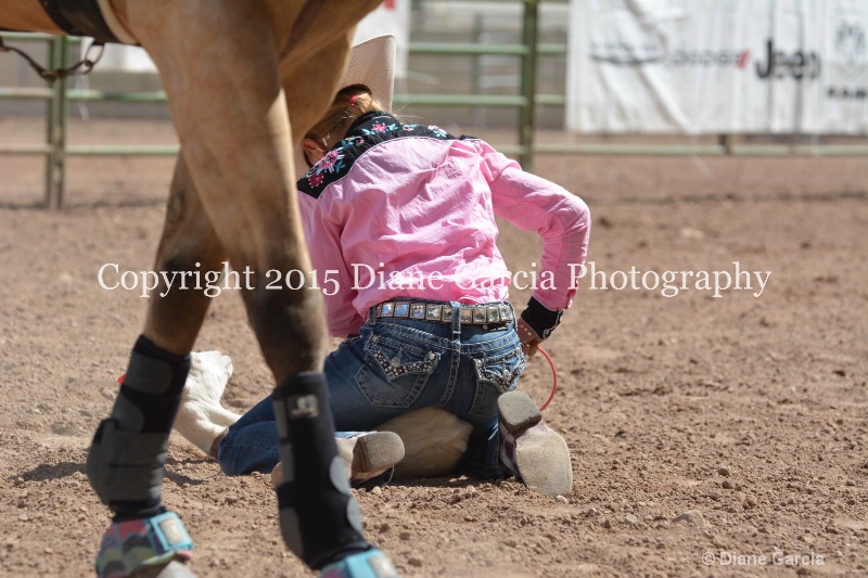 cheznie roundy 5th and under nephi 2015 12