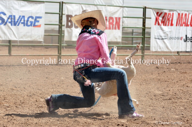 cheznie roundy 5th and under nephi 2015 11