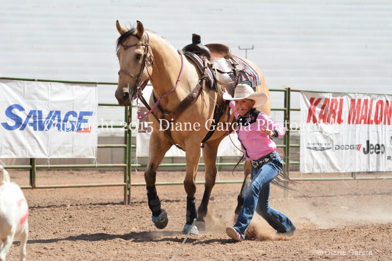 cheznie roundy 5th and under nephi 2015 9