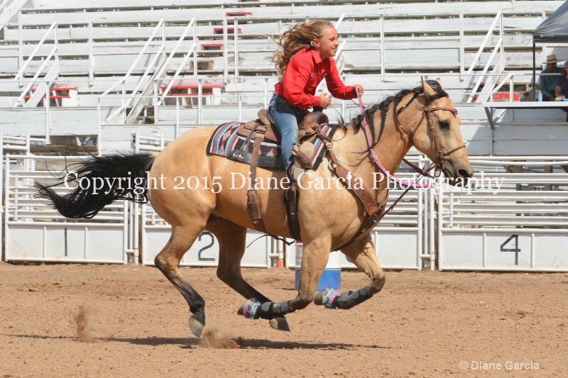 cheznie roundy 5th and under nephi 2015 16