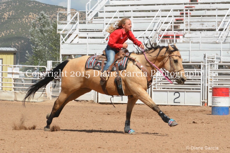 cheznie roundy 5th and under nephi 2015 15