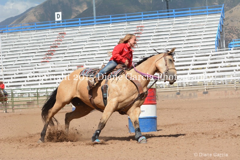 cheznie roundy 5th and under nephi 2015 14