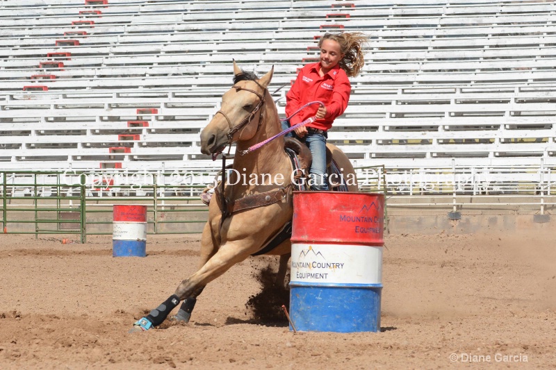 cheznie roundy 5th and under nephi 2015 13