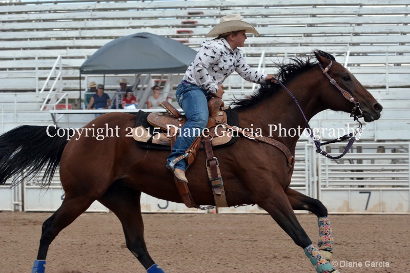 charli sanderson 5th and under nephi 2015 27