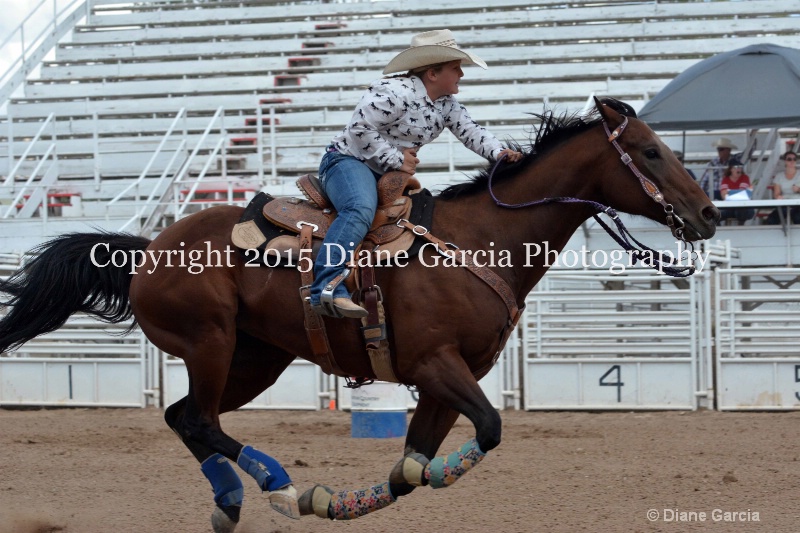 charli sanderson 5th and under nephi 2015 26