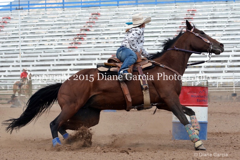 charli sanderson 5th and under nephi 2015 25