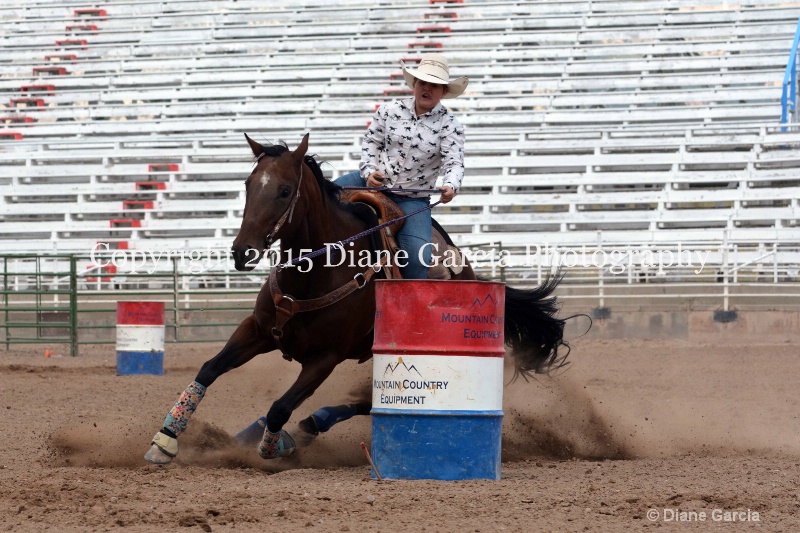 charli sanderson 5th and under nephi 2015 23