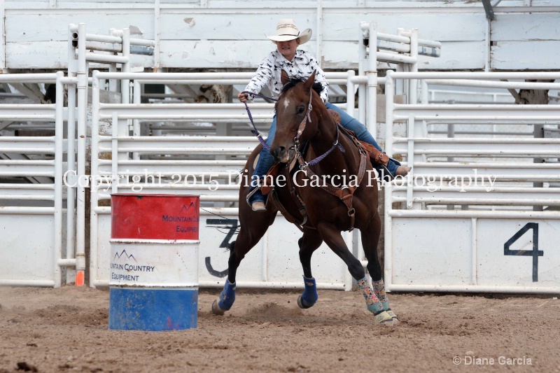 charli sanderson 5th and under nephi 2015 22