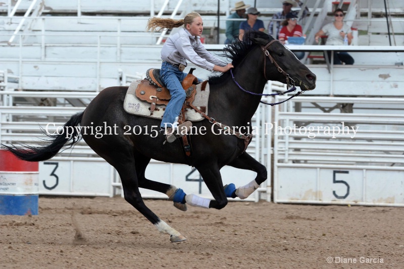 allison shields 5th and under nephi 2015 22