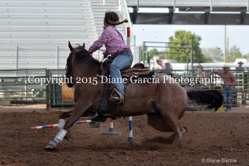 gracie peterson jr high rodeo nephi 2015 3