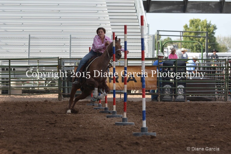 gracie peterson jr high rodeo nephi 2015 1