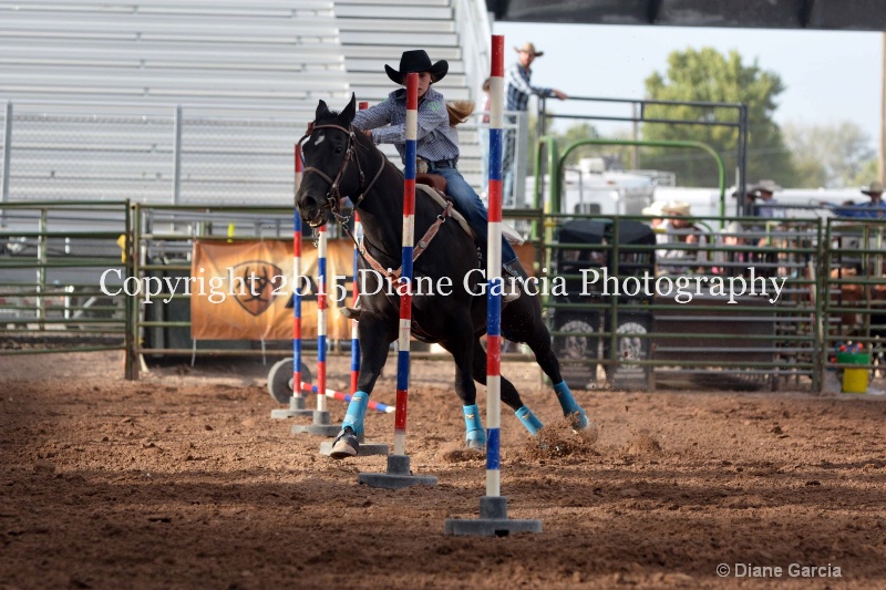 faith williams jr high rodeo nephi 2015 1