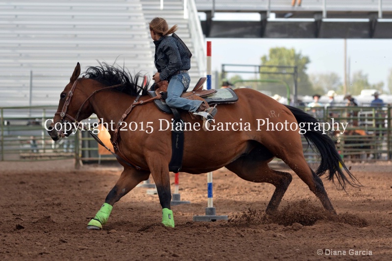 dallie bastian jr high rodeo nephi 2015 4