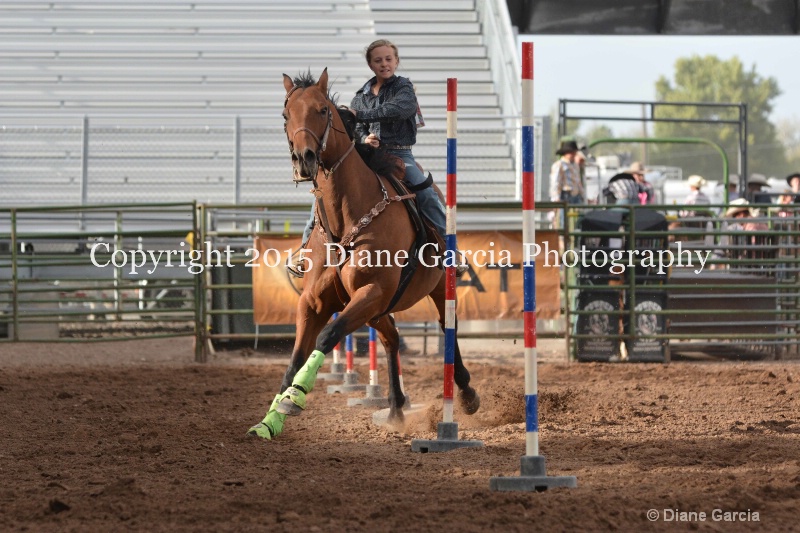 dallie bastian jr high rodeo nephi 2015 2