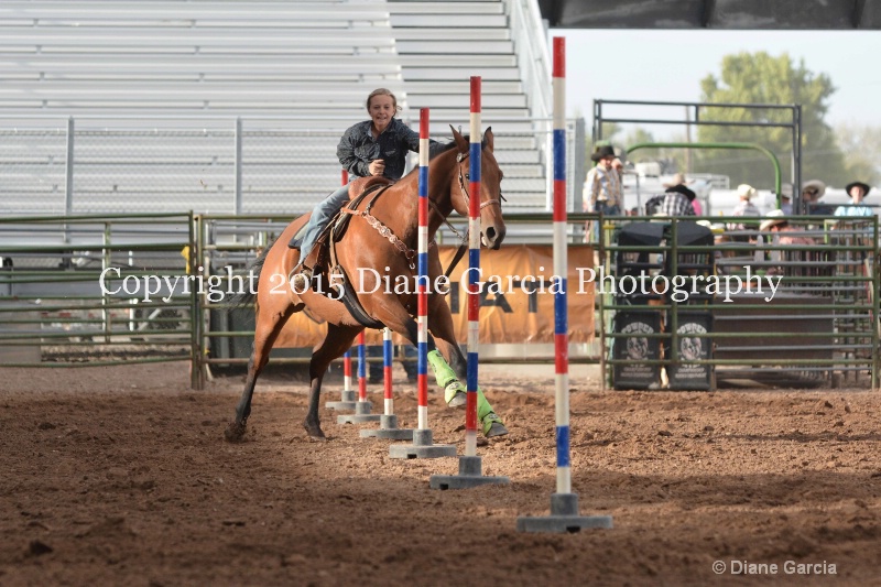 dallie bastian jr high rodeo nephi 2015 1