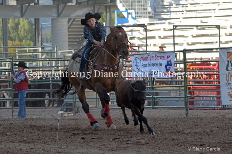 wyatt rindlisbacher jr high rodeo nephi 2015 1