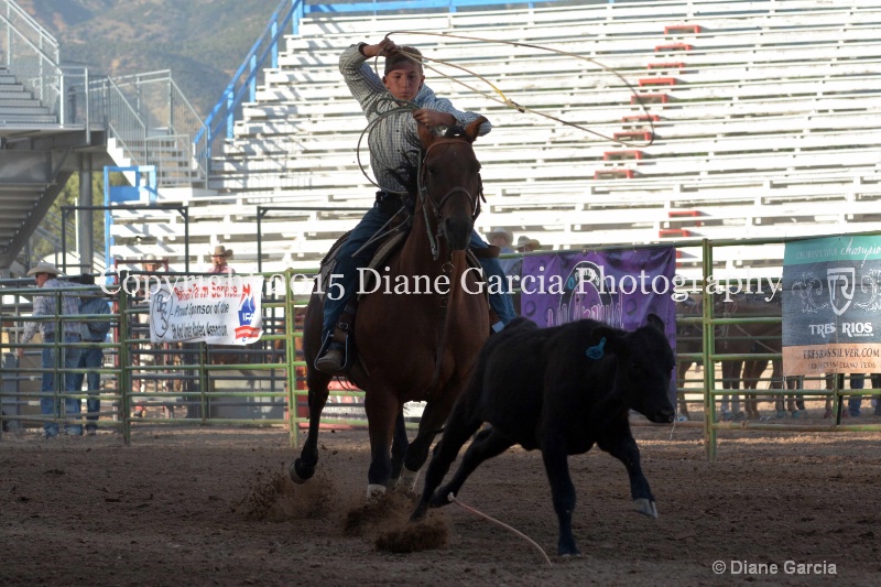 wyatt davis jr high rodeo nephi 2015 1