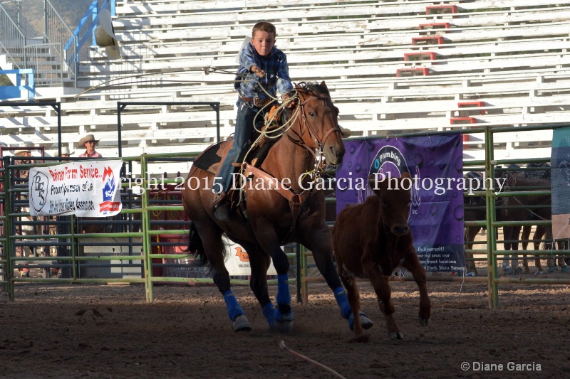 todd sweat jr high rodeo nephi 2015 1