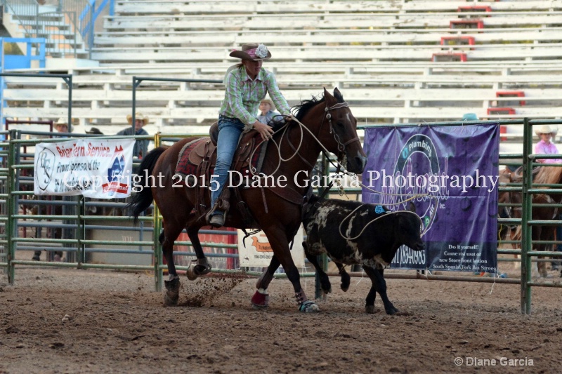 taylee graham jr high rodeo nephi 2015 8