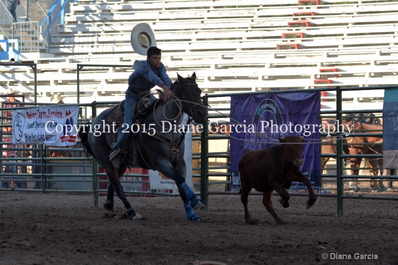 stran nielson jr high rodeo nephi 2015 1