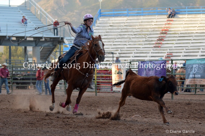 maddison rogers jr high rodeo nephi 2015 7