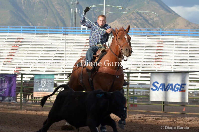 liam duke jr high rodeo nephi 2015 2