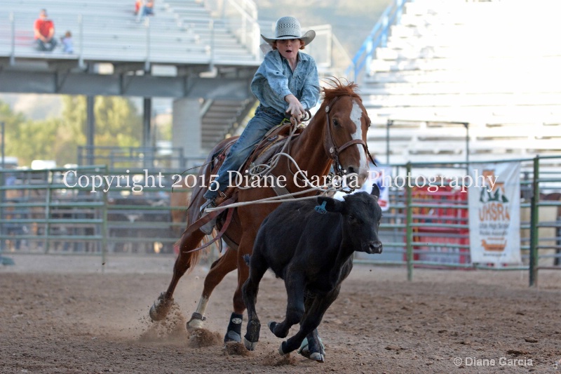 lane henry jr high rodeo nephi 2015 1
