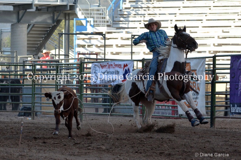 jaxon graff jr high rodeo nephi 2015 2