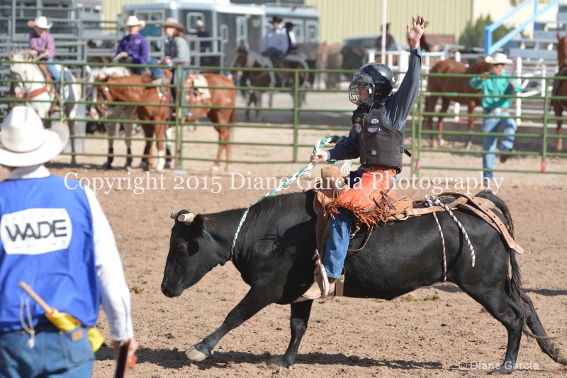 kage ott jr high rodeo nephi 2015 3