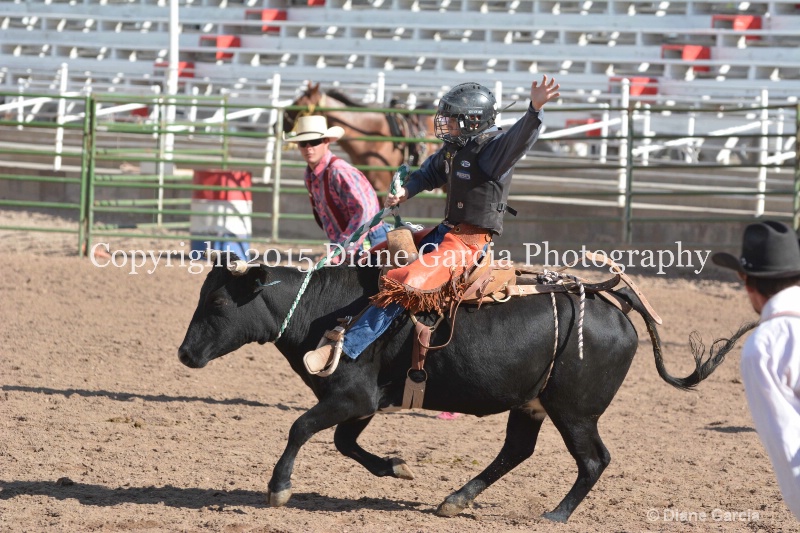 kage ott jr high rodeo nephi 2015 2